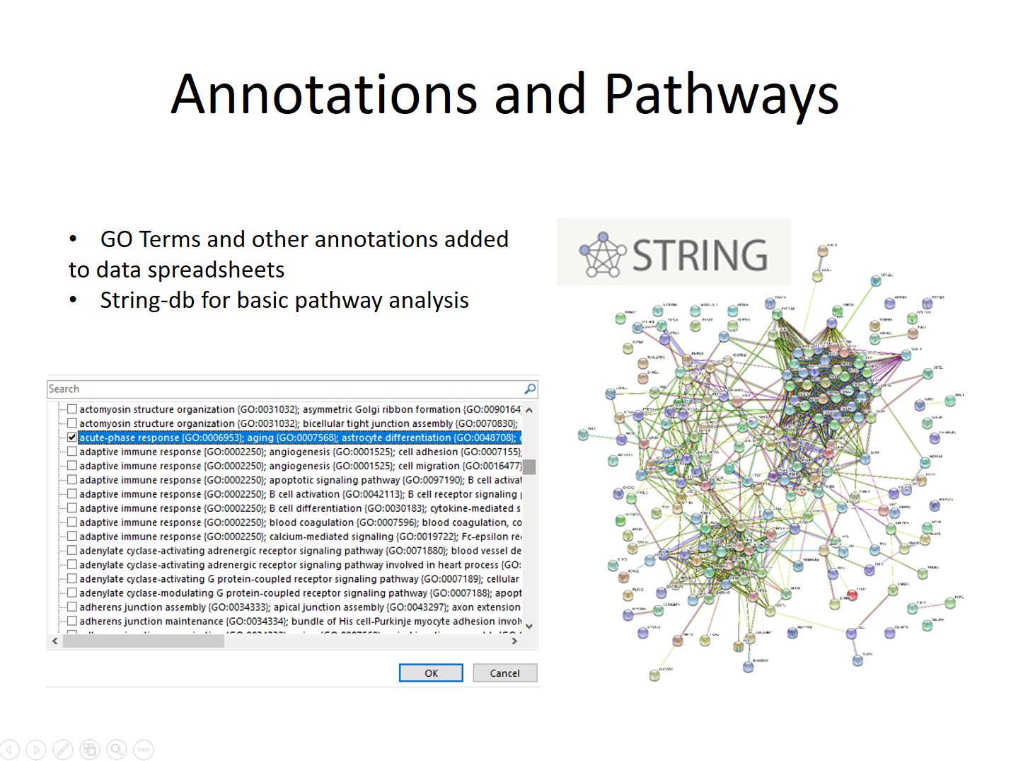 slide 10